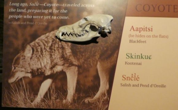 photo P1010612_zpsj5dfwxtv.jpg