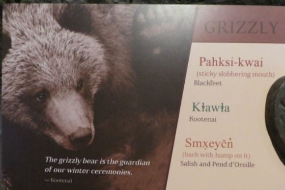 photo P1010614_zps8pqvwrim.jpg