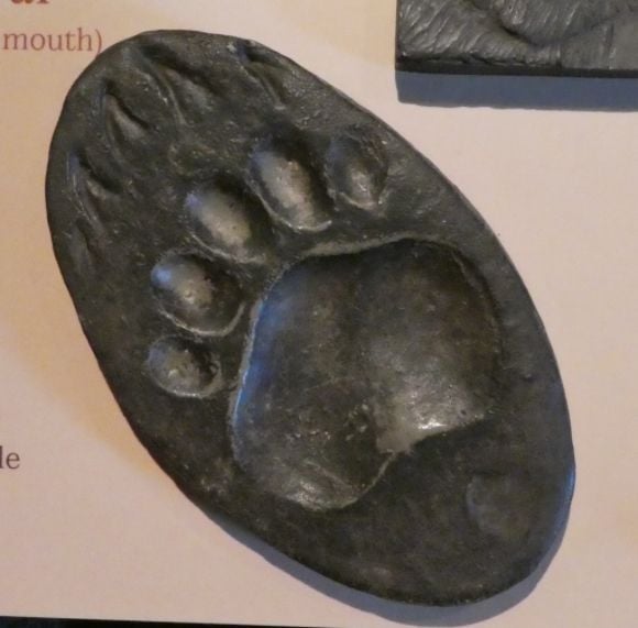 photo P1010615_zpsb5z8g91u.jpg