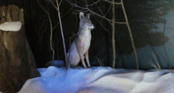 photo P1010616_zpslxda3gxy.jpg