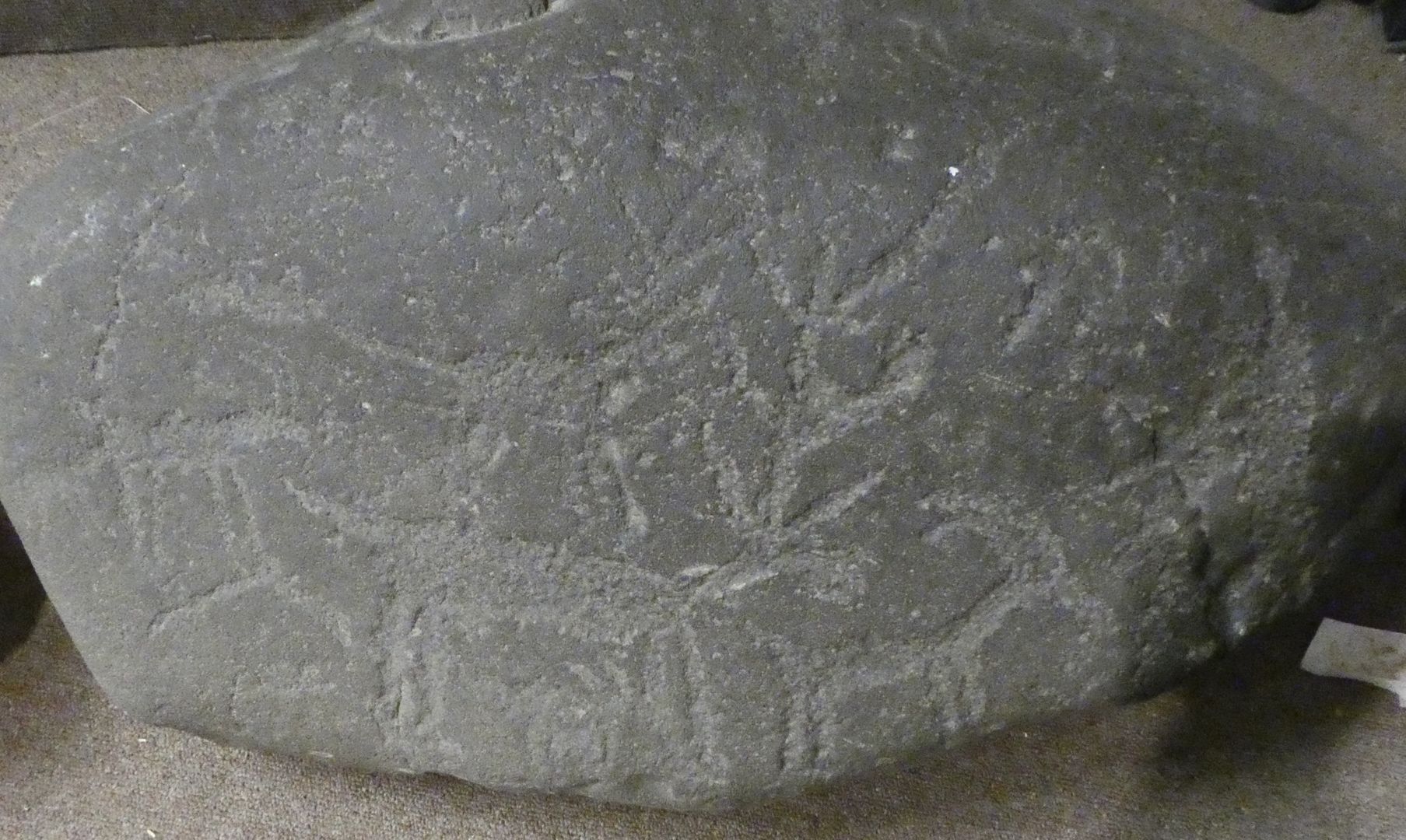 photo P1080215_zpsgsorwcmu.jpg