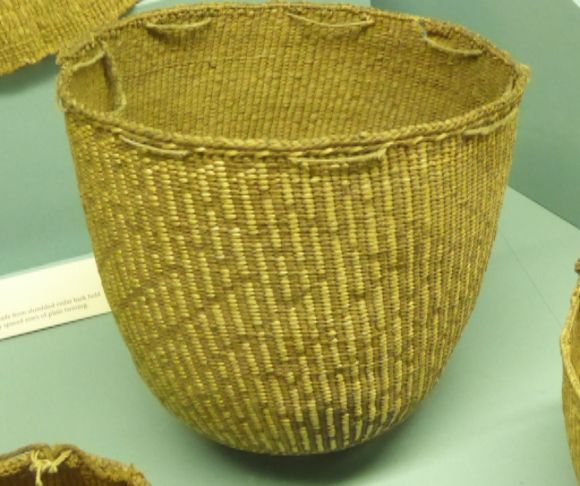 photo P1090281_zpshx3cz3zl.jpg