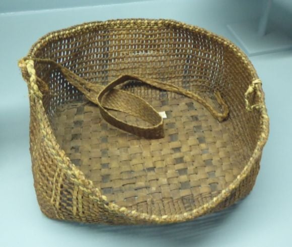 photo P1090302_zpszhf7rmwz.jpg