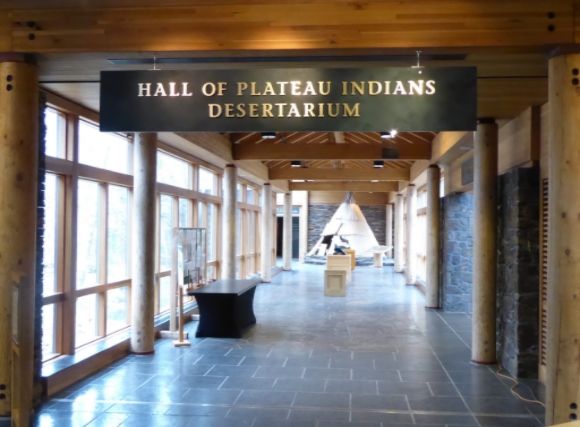 photo P1100323_zpso1yi4ooh.jpg