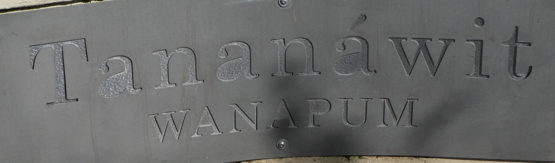 photo P1110220_zpsvhbcaz2r.jpg