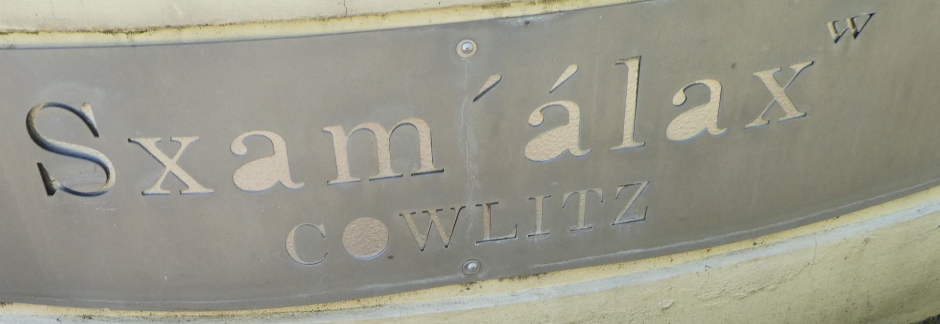 photo P1110225_zpszvfnjzfe.jpg