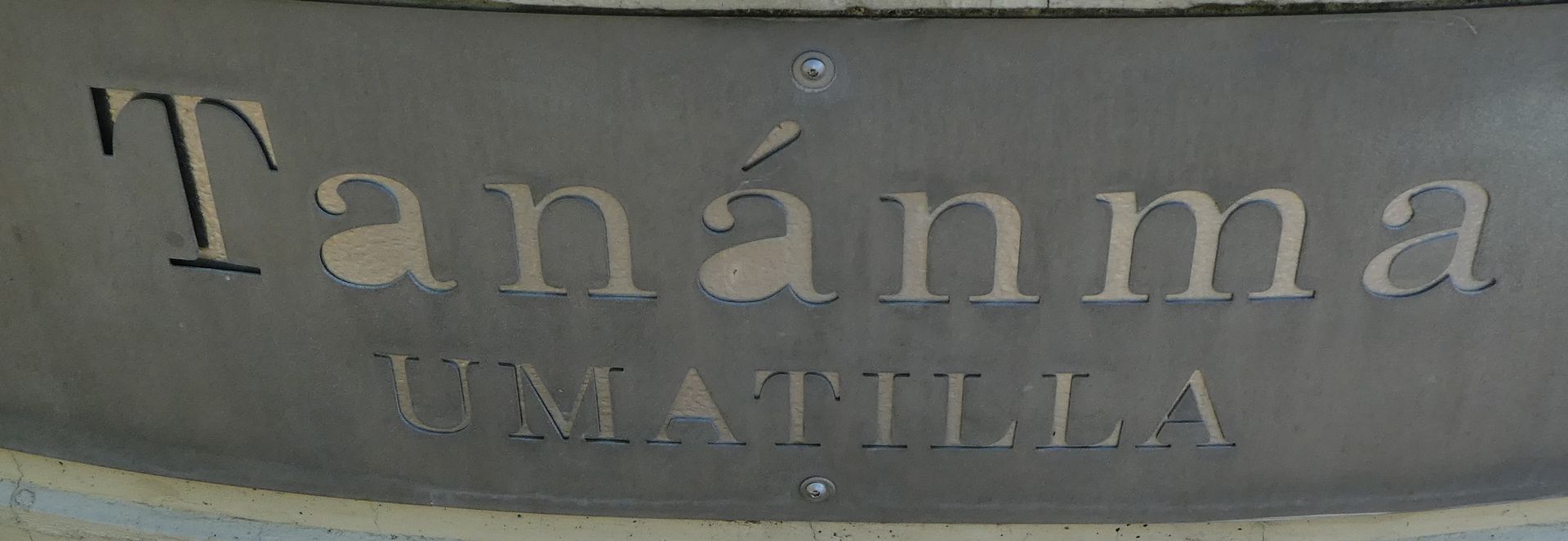 photo P1110227_zpsjgvdivjx.jpg