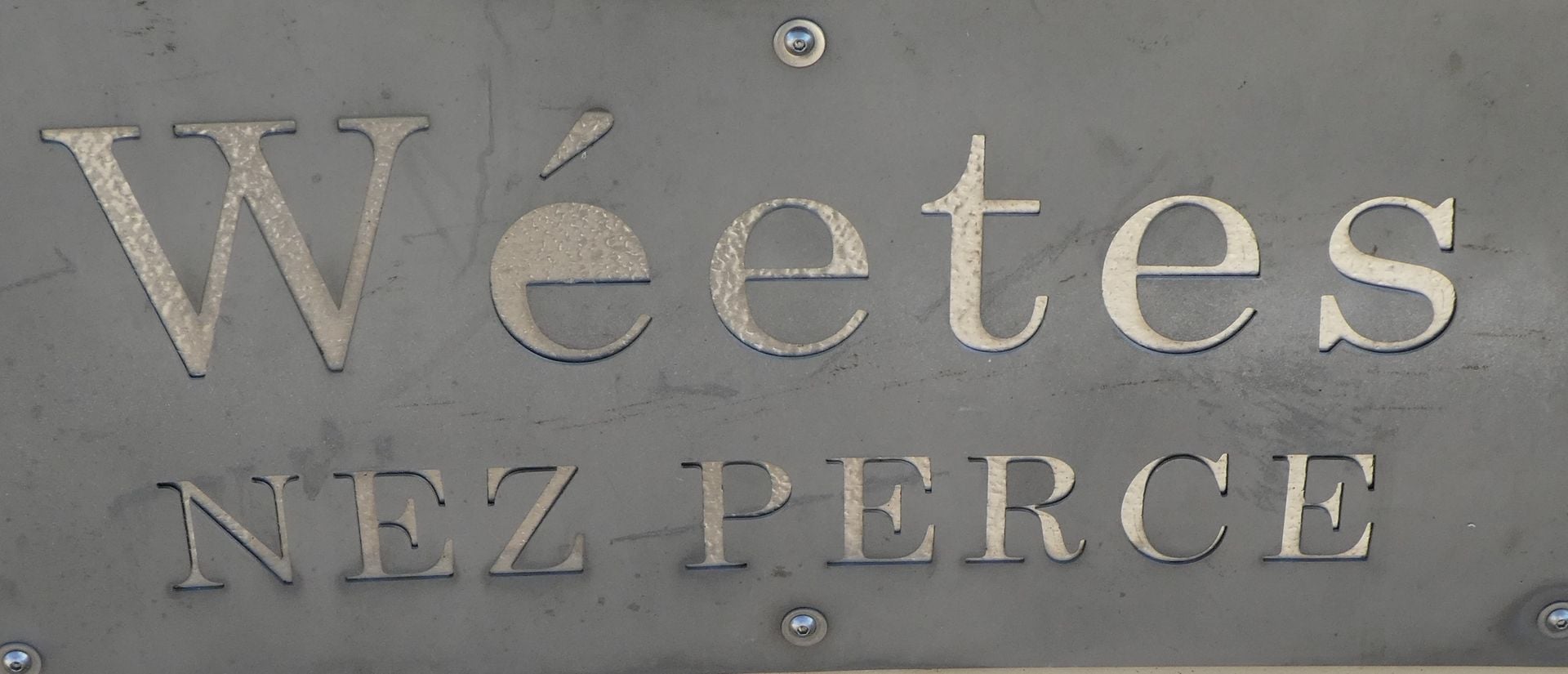 photo P1110240_zpsiek870hc.jpg