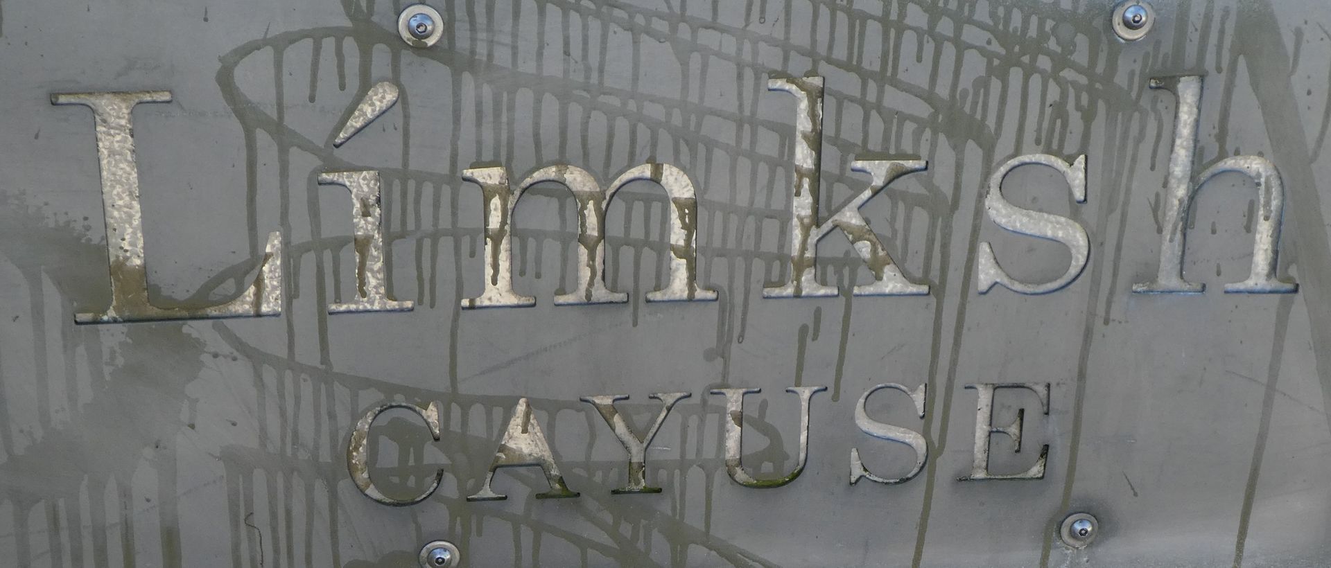 photo P1110245_zps9qgvonoo.jpg