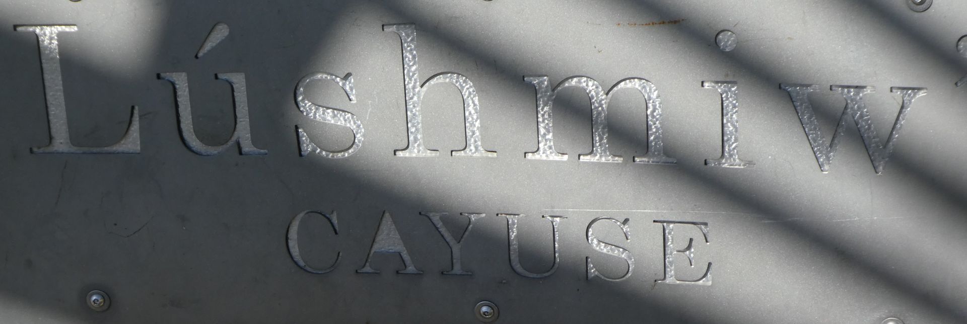 photo P1110262_zpsgjip291k.jpg