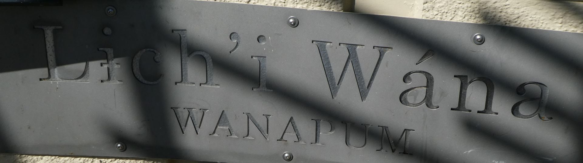 photo P1110263_zpsiizqosng.jpg