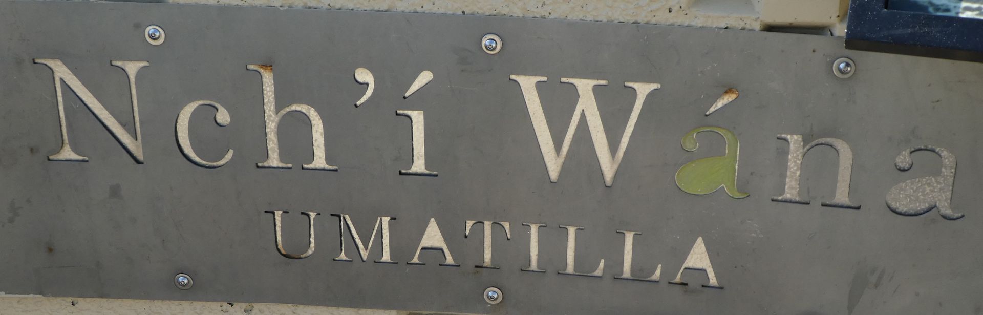 photo P1110266_zps7xfoexsn.jpg