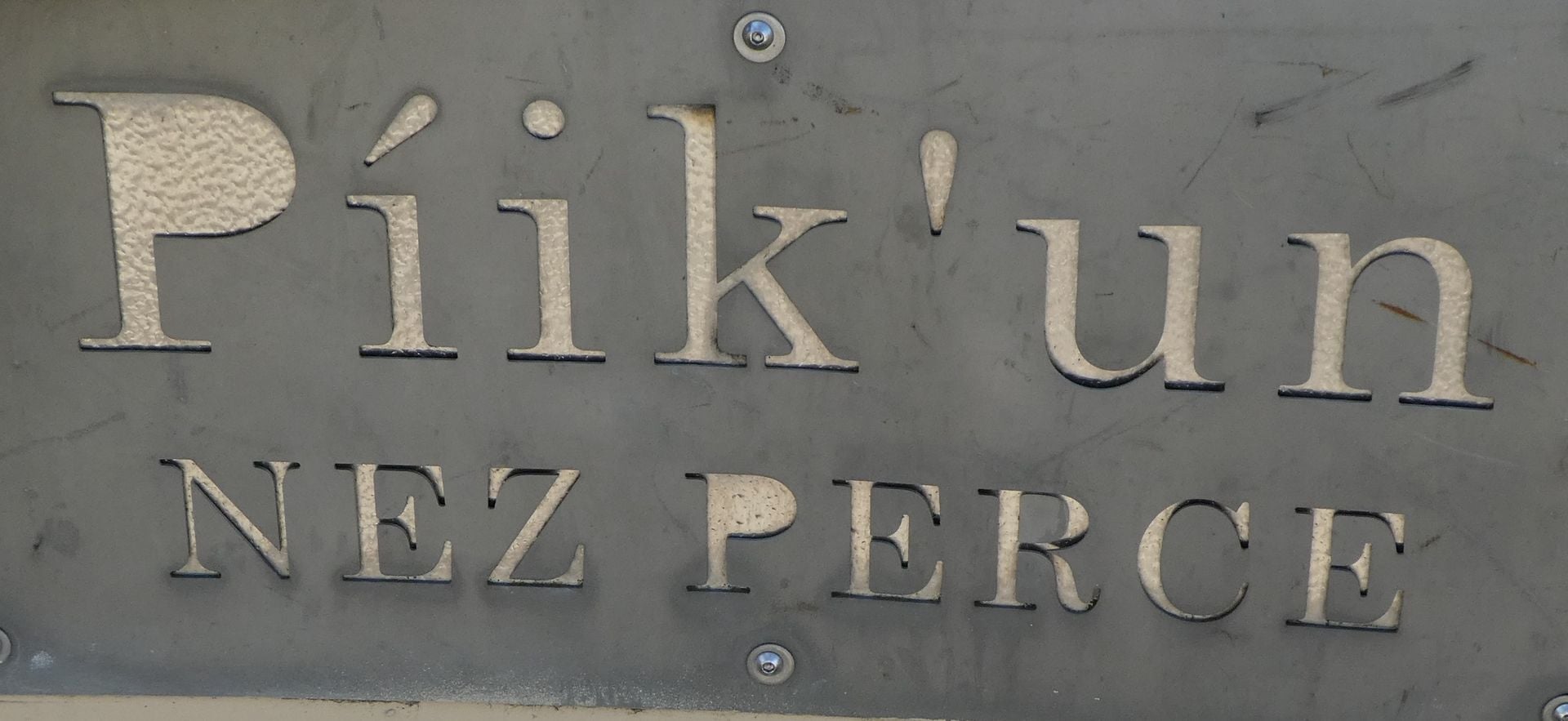 photo P1110267_zpsvlfcmunw.jpg