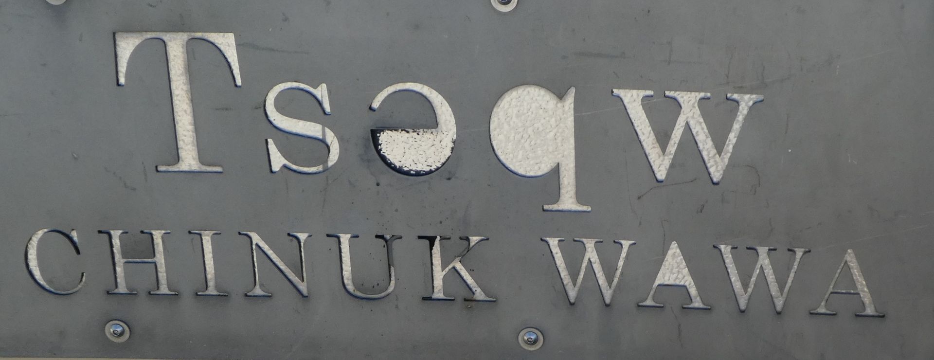 photo P1110270_zps6zohjdnl.jpg