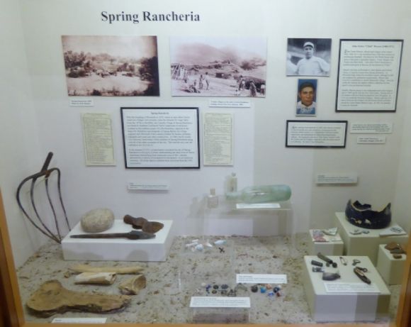 photo P1130256_zpshbhhxqkz.jpg