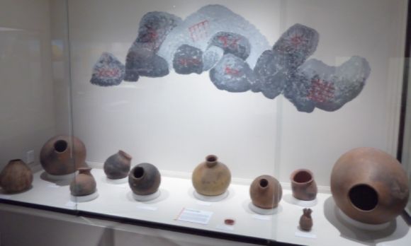 photo P1130379_zpskovul4go.jpg