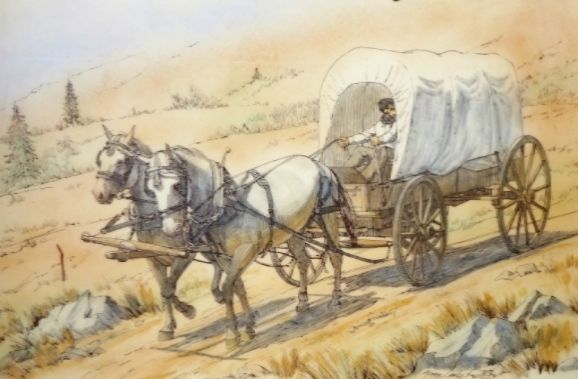 photo P1160673_zps2wbzxg7j.jpg