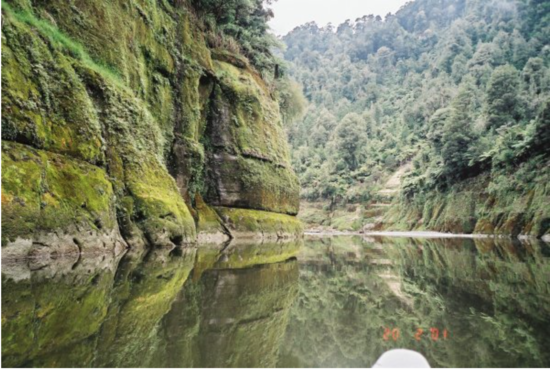 Whanganui River in New Zealand