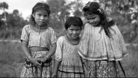 The Muskogean Language Family