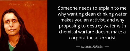 quote-someone-needs-to-explain-to-me-why-wanting-clean-drinking-water--winona-laduke.jpg