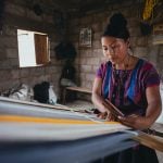 contributions of Indigenous people